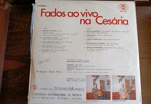 imagem_8