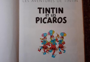 imagem_3
