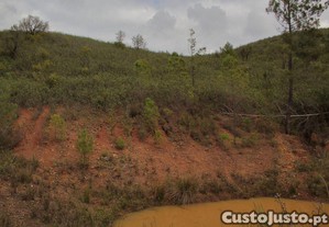 imagem_12