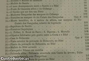 imagem_7