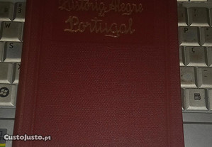 imagem_1