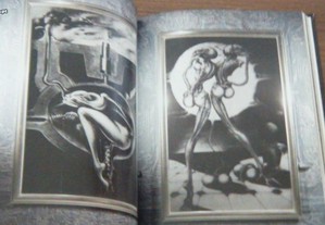 imagem_3
