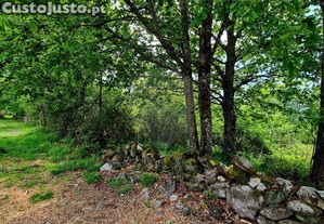 imagem_8