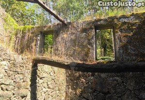 imagem_25