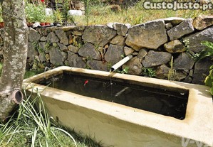 imagem_32