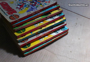 imagem_2