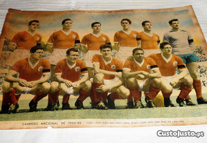 Poster Benfica Campeão Nacional 1954 55