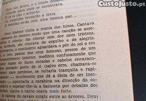 imagem_7