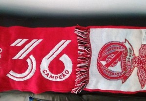 imagem_7
