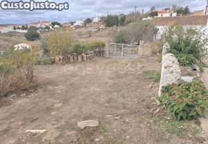imagem_31