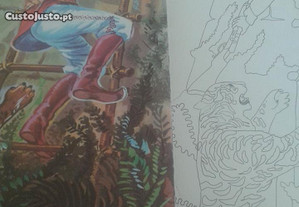 imagem_3