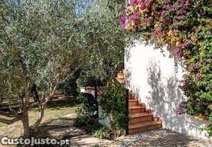 imagem_10