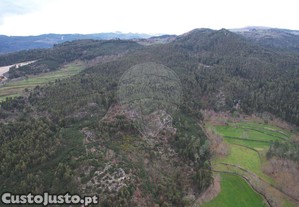Terreno, Braga, Cabeceiras de Basto