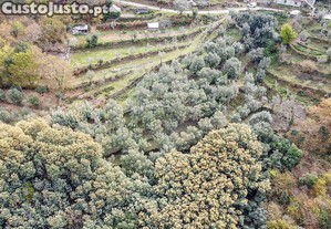 imagem_15