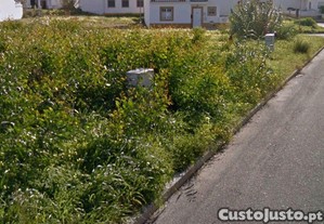 imagem_7