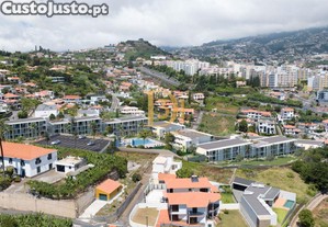 imagem_11