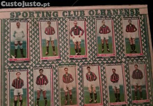 imagem_7