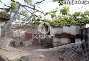 imagem_22