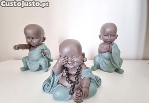 imagem_7