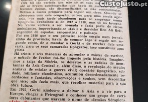 imagem_8