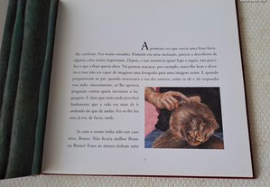 imagem_5