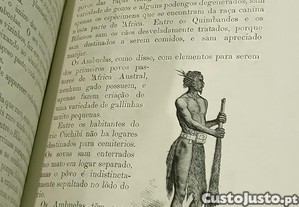 imagem_20
