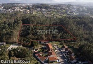 Terreno Rustico Com 22500 M2, Em Argoncilhe,...