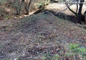 Limpeza de terrenos