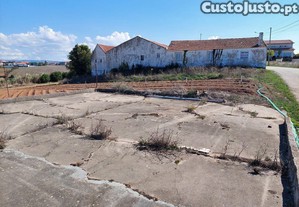 imagem_4