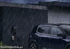 imagem_8