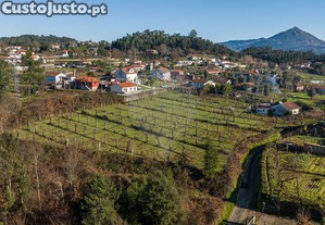 Terreno, Braga, Celorico de Basto