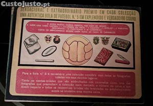 imagem_8