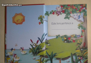 imagem_4