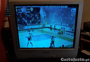 imagem_6