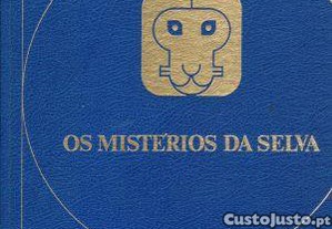 imagem_3