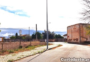 imagem_15