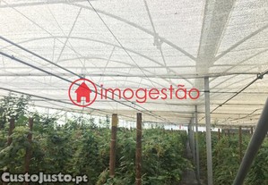 imagem_16