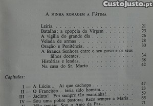 imagem_7