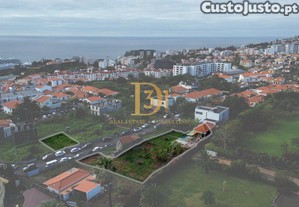 imagem_11