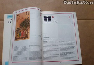 imagem_4