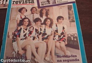 imagem_2