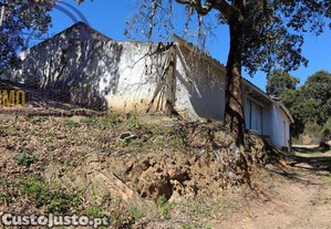 imagem_11