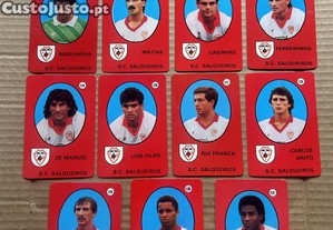 imagem_1
