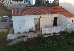 imagem_10