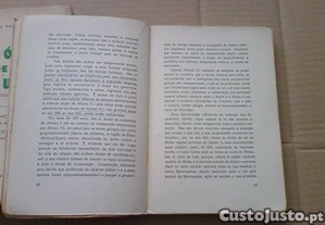 imagem_8