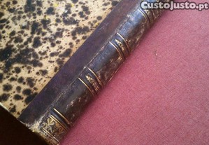 imagem_7