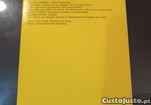 imagem_8
