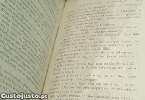 imagem_10