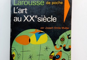 Encyclopédie Larousse de Poche L'Art Au XX Siècle