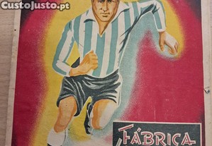 imagem_1